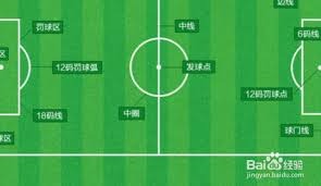 法国队球员欢庆时刻合影留念